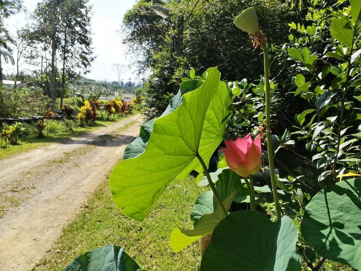 สวนบางบอน บีแอนด์บี อินน์ ปลายพระยา ภายนอก รูปภาพ