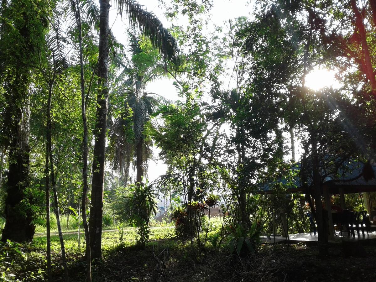 สวนบางบอน บีแอนด์บี อินน์ ปลายพระยา ภายนอก รูปภาพ